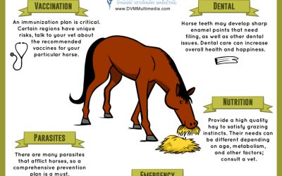 Equine Health Information